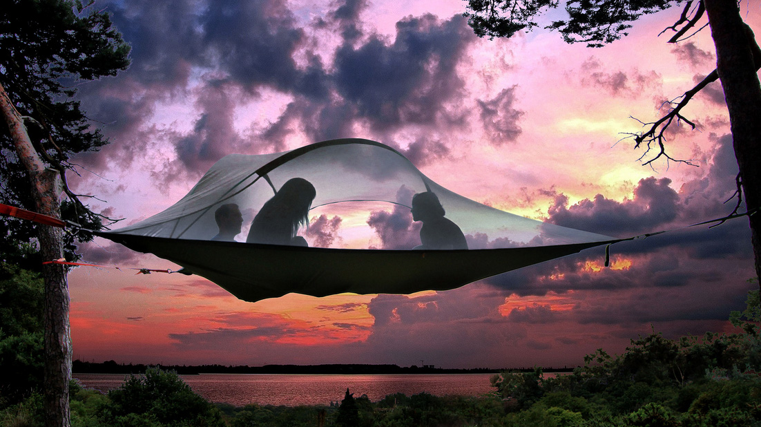 Tensile Tree Tent Stingray