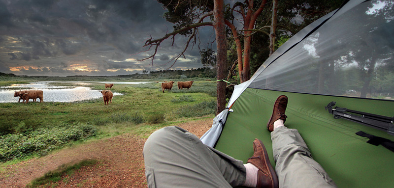 Tensile Tree Tent Hammock