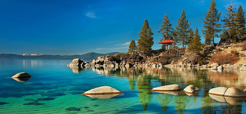 suspended tent tensile stingray