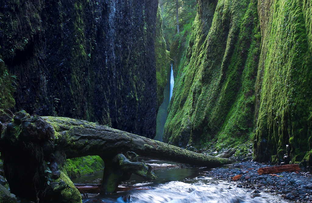 Oneonta Gorge 11 Great North American Hikes