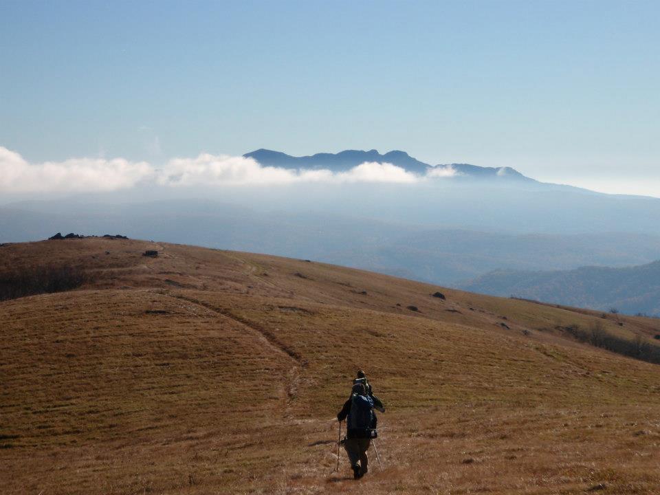 Roan Mountain Highlands 11 Great North American Hikes