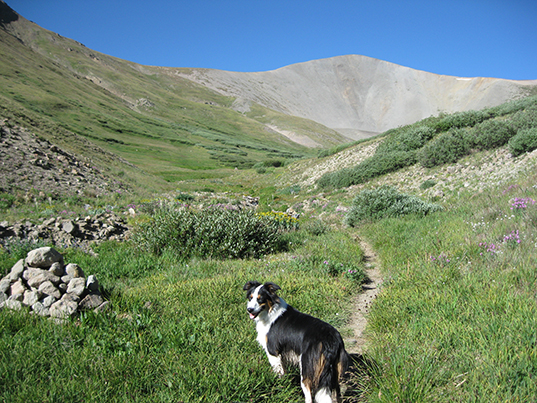 San Luis Peak Colorado 14er San Luis Peak Colorado 14er