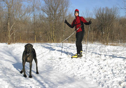 The Deluxe Skijor Package