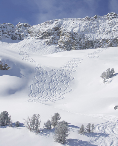 powder turns in Nevada