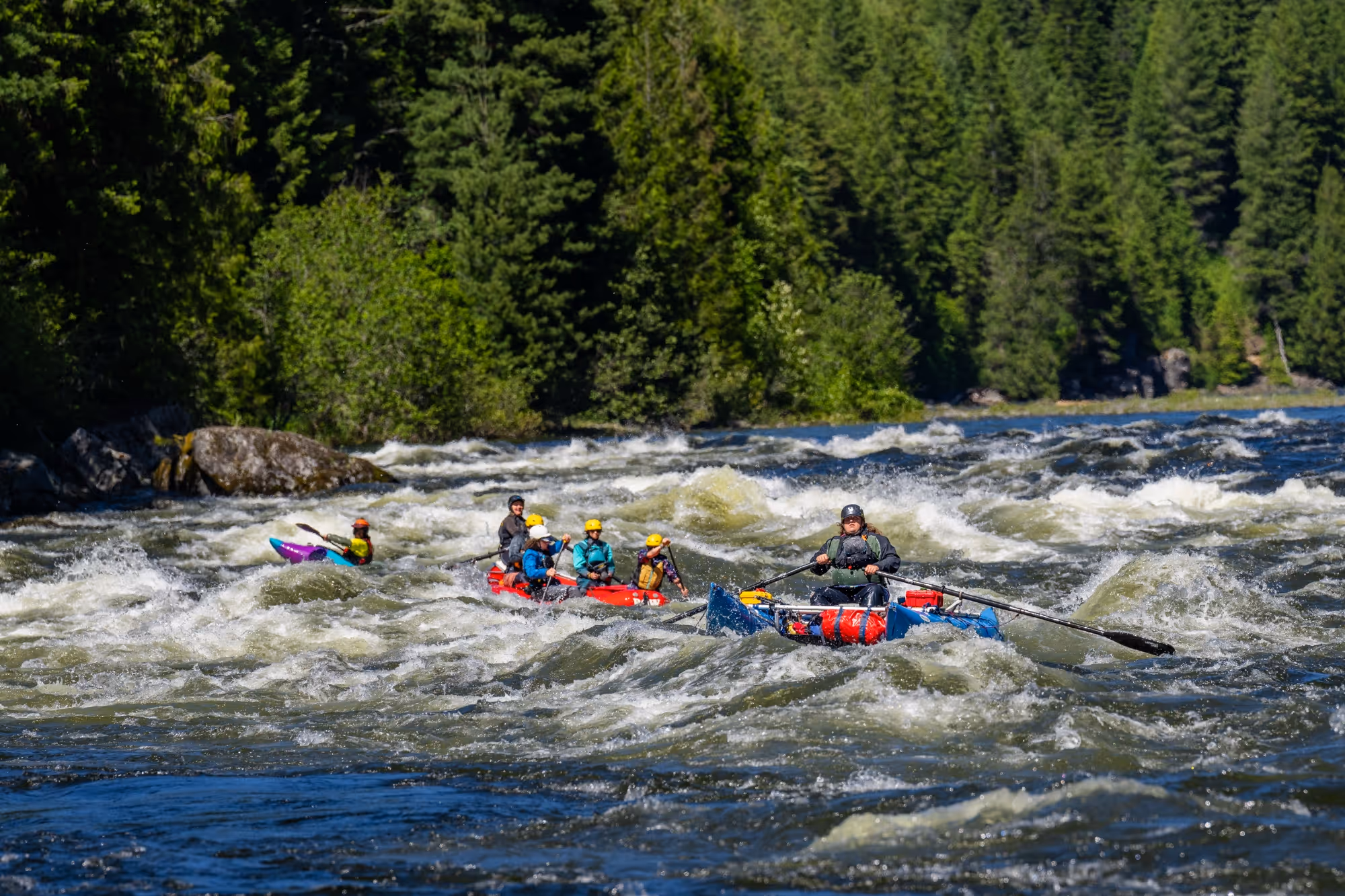 Group of people rafting and kayaking through whitewater rapids surrounded by forest.