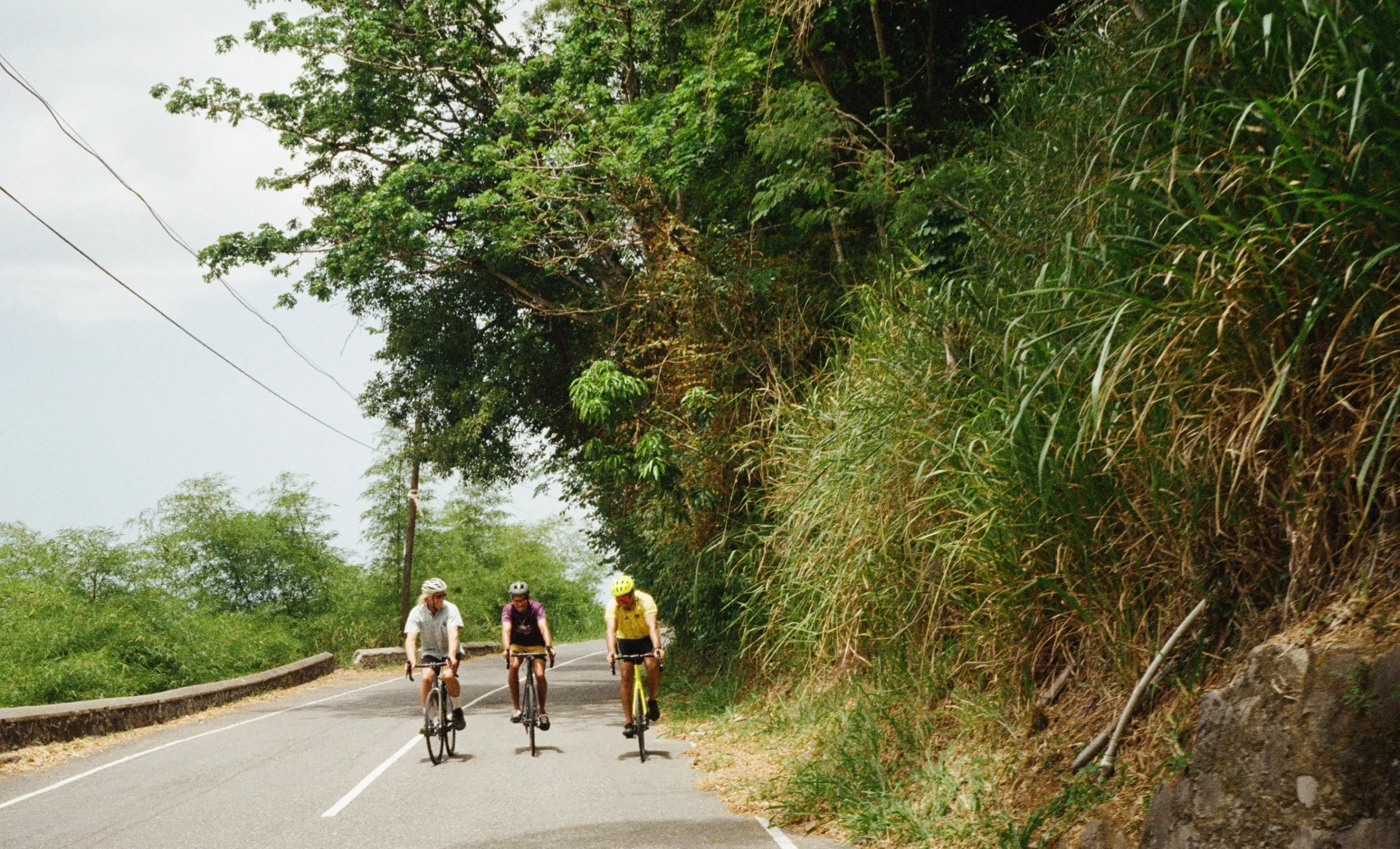 Three cyclists riding on a road bordered by dense green foliage and trees on a cloudy day.